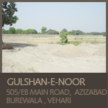 Gulshan Noor